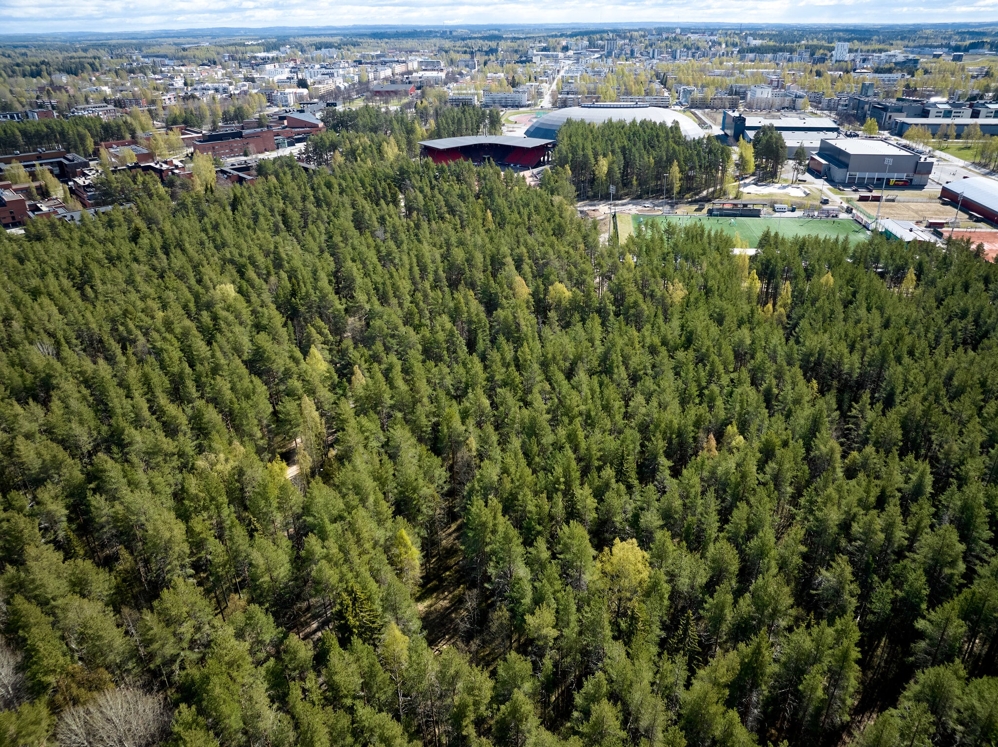 metsä-Joensuu-Mehtimäki-Forest