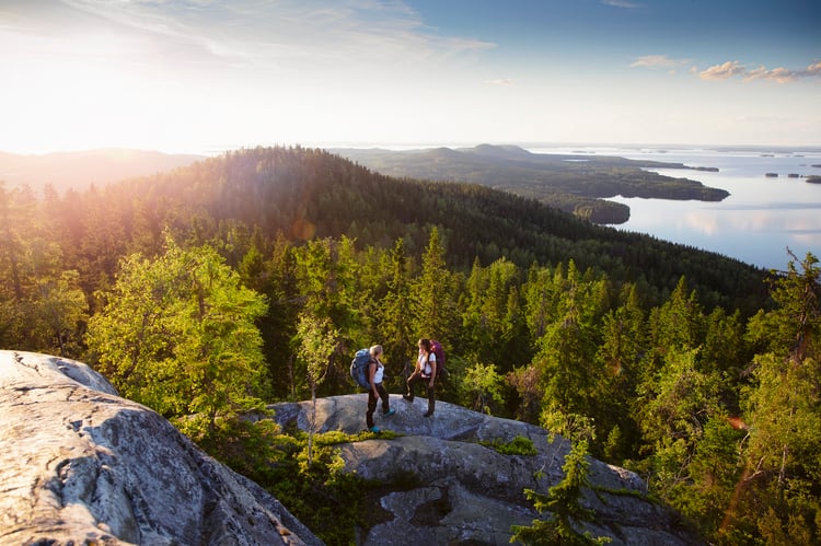 Business_Joensuu_Kolin_kansallispuisto_retkeilijat Business_Joensuu_Kolin_kansallispuisto_retkeilijat
