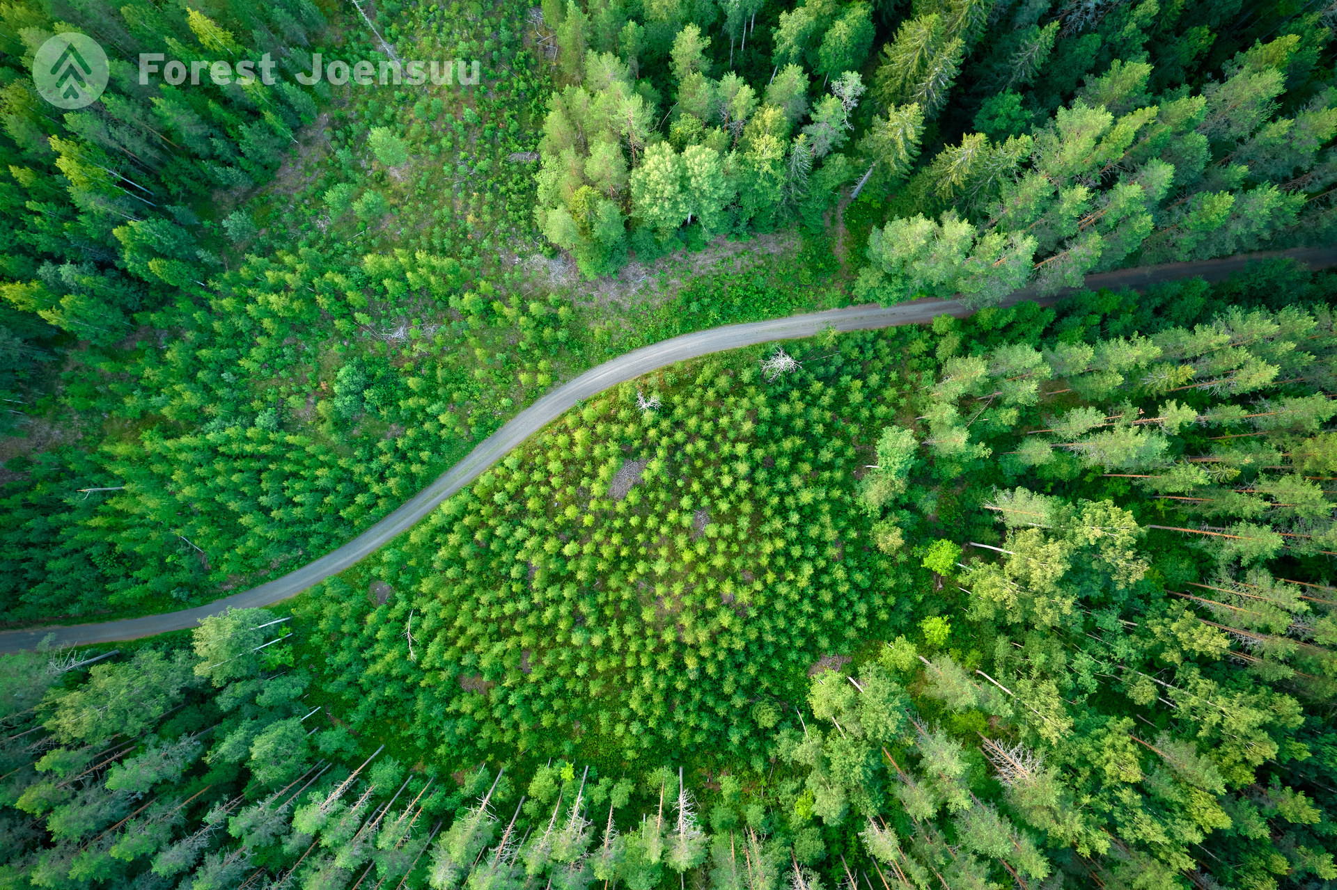 Forest-Joensuu-metsäaukio-ja-tie-DJI_0010 kopio-1