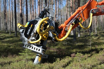 Business_Joensuu_Forest_Bio_Kesla-1-1