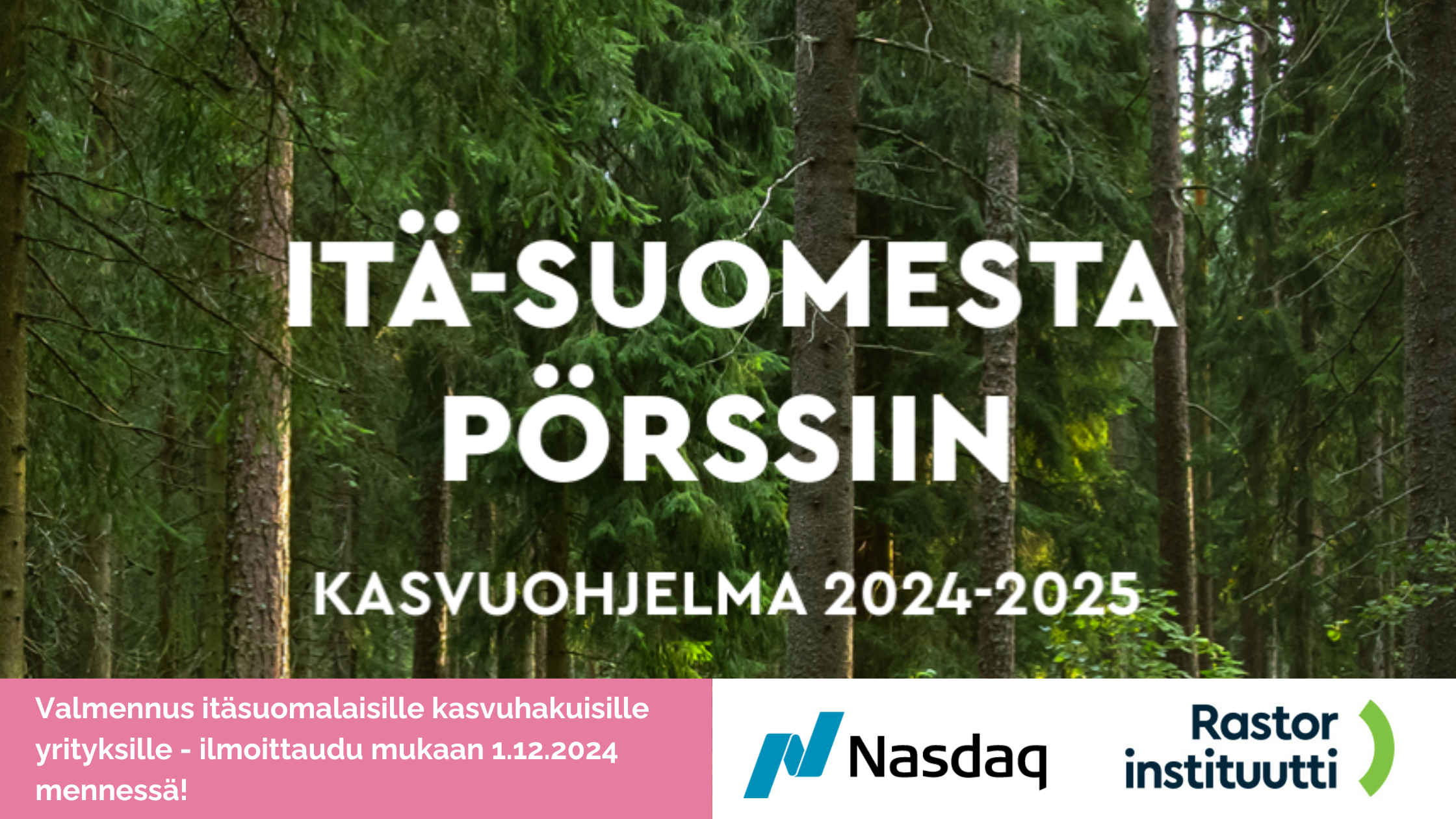 Itä-Suomesta pörssiin -kasvuohjelma itäsuomalaisille kasvuhakuisille yrityksille 2024-2025 | Business Joensuu